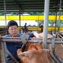 심원용농장 이미지