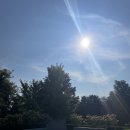 2023.EP.648.캐나다 토론토 쉐퍼드영 공원 추천 세메터리 폰드 York Cemetery Pond
