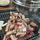 바다산꼼장어 이미지