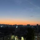 플라플로 (PLFL) 이미지