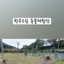 가야한우농장 이미지