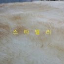 세탁수선 이미지