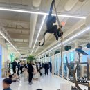 개냥이 연구소 | 인천 송도 애니멀클럽 동물 키즈카페 오픈 후기 F엄마는 웁니다 / 아이랑 겨울방학 가볼만한 곳