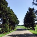 한창목장 이미지