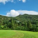 선운(주) 네이버블로그