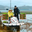 단평1리 이미지