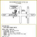 아하난초
