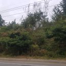 소나무부동산공인중개사사무소 이미지