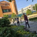 양곡부녀 이미지