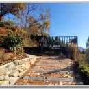 화가의정원 이미지