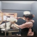 이쁘개멋있개 이미지