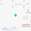 고흥과역조가비 이미지