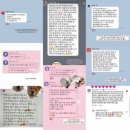 경남수의동물병원(출장진료전문병원) | [멍즈니랜드] 울산 대형견출장목욕&amp;미용 골든리트리버 출장미용