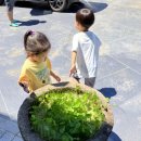 연곡입구  연곡마을 이미지