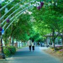 탄천 엑스파크공원 이미지