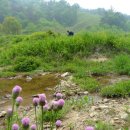 용정3리 이미지