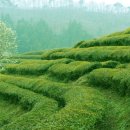 용인대 자양복싱 이미지