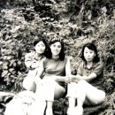 미스박 이미지