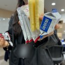 월간티롱 직장인 4월 일상 (상)_대리 승진, 서울식물원 피크닉, 회의와 회식, 일만 하는 일상