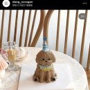 댕댕수라간 이미지