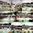 용인대석사체육관 이미지