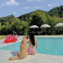 스테이 무 | 경기도 애견펜션 리얼후기, 스테이무 깔끔한 갓성비 숙소로 추천