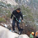 청원스크랩 이미지