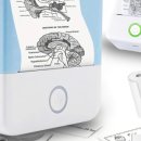 천원마트 이미지