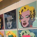 매그네이트 이미지