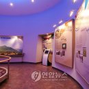 거창박물관 전시실 이미지
