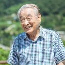 이순재 원로 배우 별세 이미지