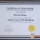 감자국댕치원 이미지