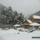 황토와소나무 이미지