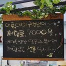 버드리전주 이미지
