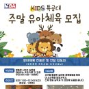 아이캔태권도 이미지
