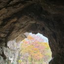 금산일품