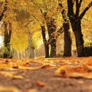 맛있는밥한끼 이미지