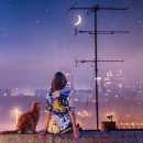 고양이집사 이미지