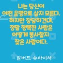 드림인 이미지