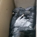 청계유통 이미지