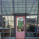 청용농장 | [용인 포레스트벨 후기] 아이들과 안전하게 뛰어논 최고의 동물 체험장!!