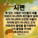 샬롬 - 은평구 | 샬롬
