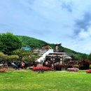 수겔러리카페펜션 이미지