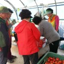 평리농장 이미지