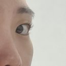 여주-0963 | 수원시청역 속눈썹펌 유니크제이드 인계동 자연스러운 노글루펌 완전 만족 후기