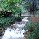 하늘그린캠프 이미지