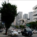 비에비스나무병원 이미지