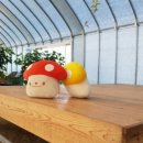 송이농장(2) 이미지