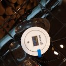 제주민들레 이미지