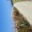 앵콜송노래방 이미지